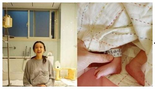 娱乐圈生孩子,明星育儿记